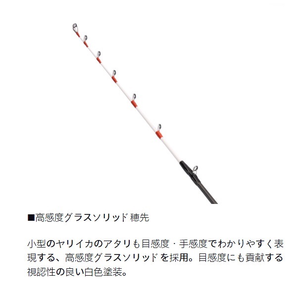 24アナリスターヤリイカ